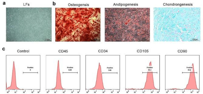 CD45 Antibody in Flow Cytometry (Flow)