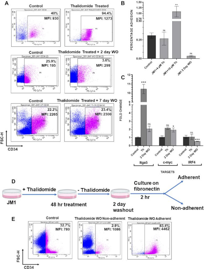 CD34 Antibody in Flow Cytometry (Flow)
