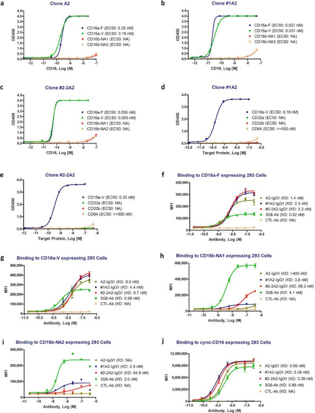 CD16 Antibody in Flow Cytometry (Flow)