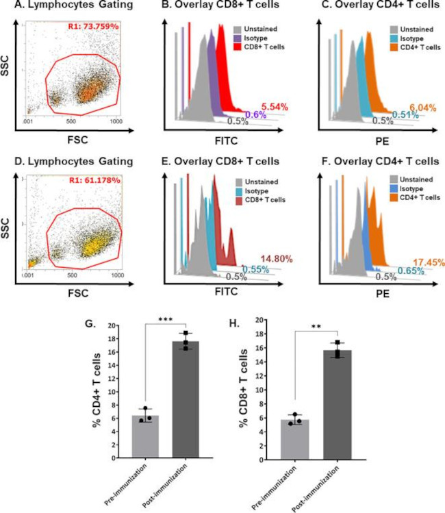 CD8 Antibody in Flow Cytometry (Flow)