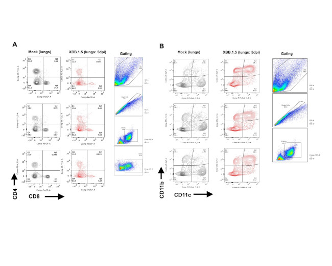 CD11c Antibody in Flow Cytometry (Flow)