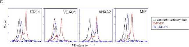 Rabbit IgG (H+L) Cross-Adsorbed Secondary Antibody in Flow Cytometry (Flow)