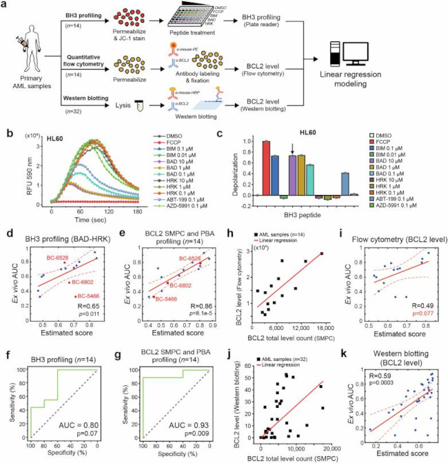 Bcl-2 Antibody in Flow Cytometry (Flow)