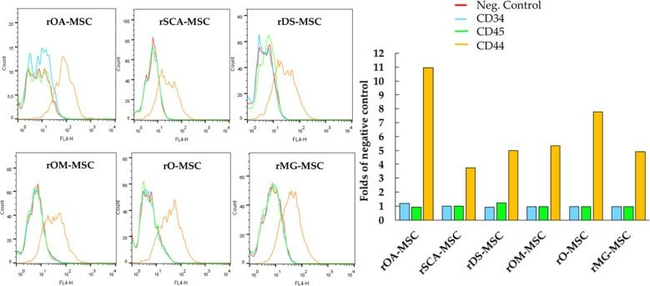 Mouse IgG (H+L) Cross-Adsorbed Secondary Antibody in Flow Cytometry (Flow)