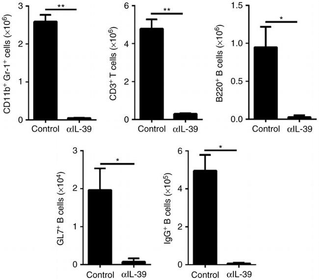Flow Gl7 GL7 Monoclonal Antibody (GL-7 (GL7)), eFluor™ 660 (50-5902-82)