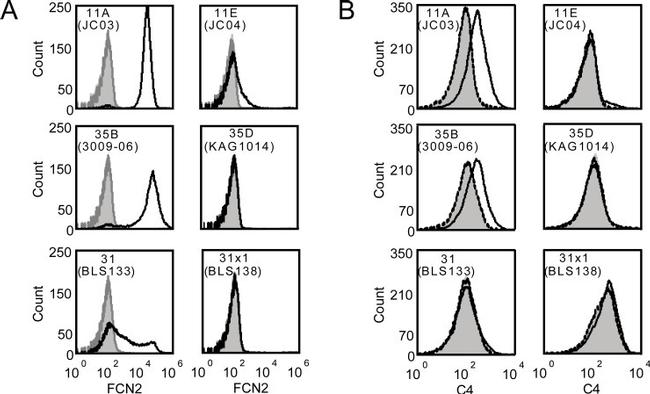 Complement C4b/C4c Antibody