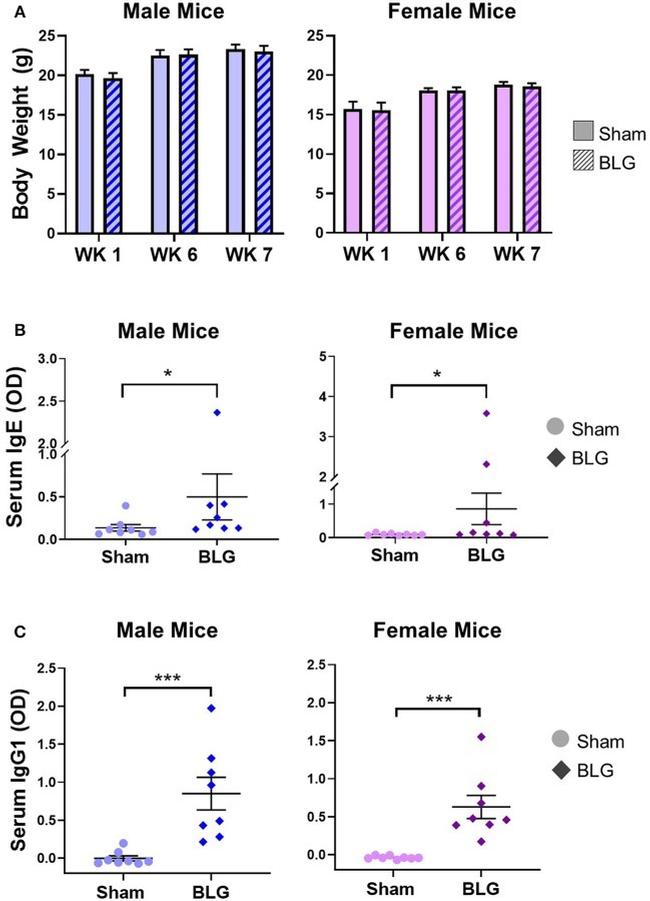 Mouse IgE Antibody in ELISA (ELISA)