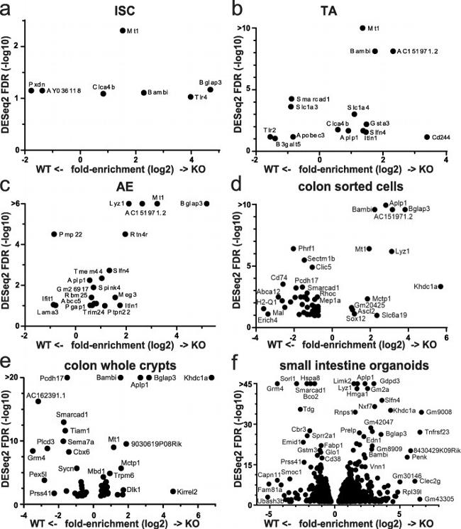 CD34 Antibody in Flow Cytometry (Flow)