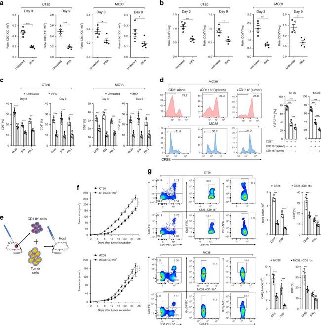 CD3 Antibody, Functional Grade (16-0038-81)