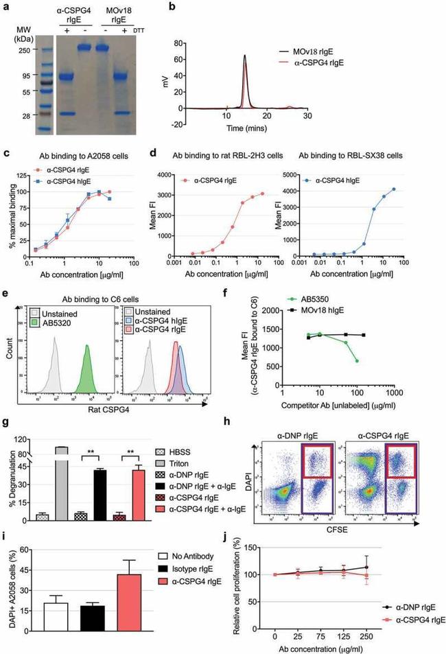 DNP Antibody in Flow Cytometry, Functional Assay, T-Cell Activation (Flow, Functional, TCA)