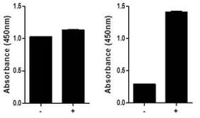 Multispecies CREB (Total/Phospho) InstantOne™ ELISA Kit