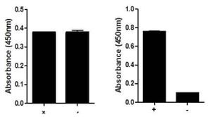 Multispecies GSK3 beta (Total/Phospho) InstantOne™ ELISA Kit