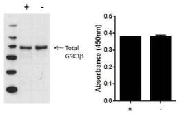 Multispecies GSK3 beta (Total) InstantOne™ ELISA Kit