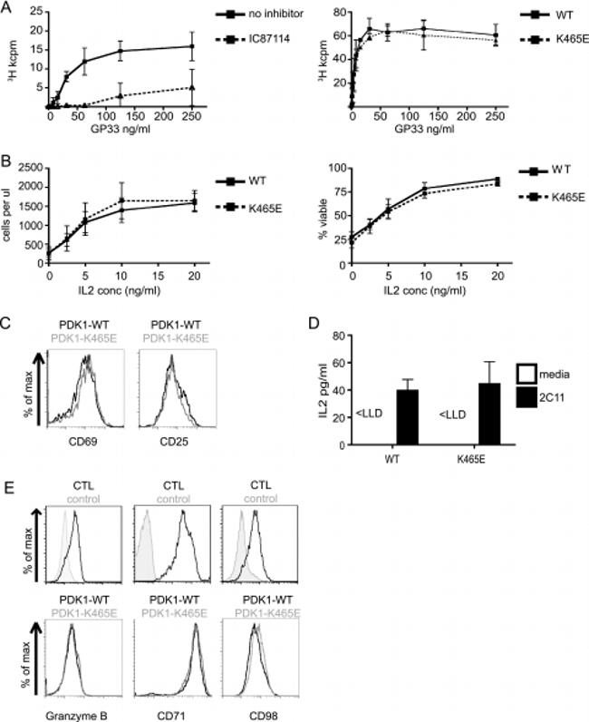 CD8 alpha Antibody in Flow Cytometry (Flow)