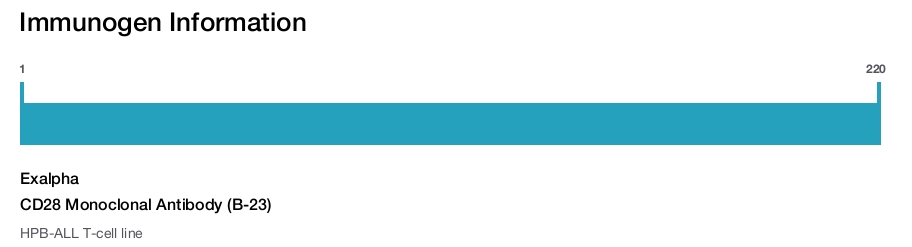 CD28 Monoclonal Antibody (B-23)