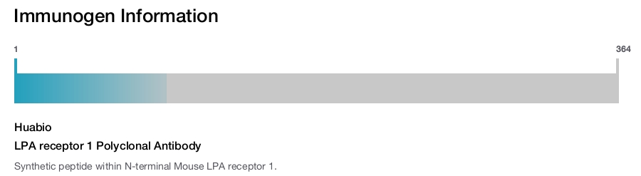 LPA receptor 1 Polyclonal Antibody