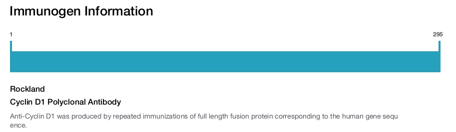 Cyclin D1 Polyclonal Antibody
