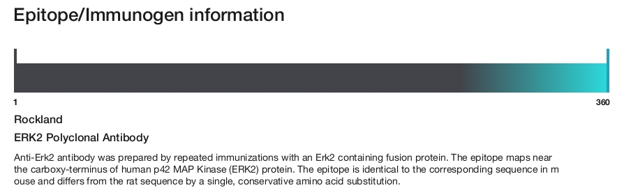 ERK2 Polyclonal Antibody