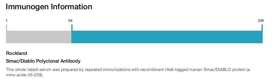 Smac/Diablo Polyclonal Antibody
