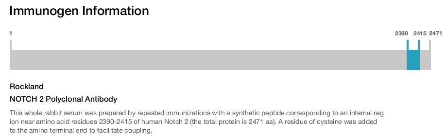 NOTCH 2 Polyclonal Antibody
