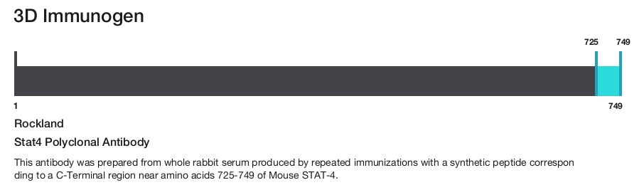 Stat4 Polyclonal Antibody