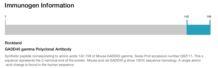 GADD45 gamma Polyclonal Antibody