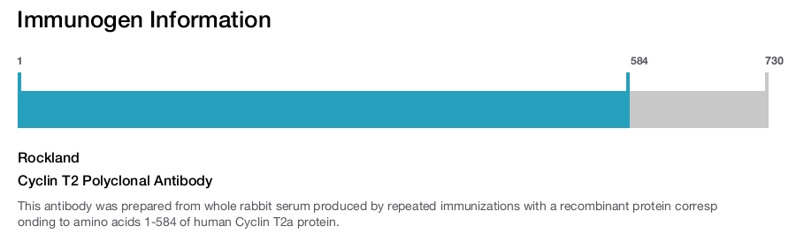 Cyclin T2 Polyclonal Antibody