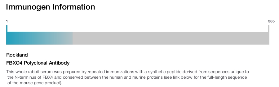 FBXO4 Polyclonal Antibody