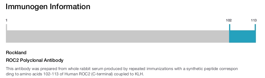 ROC2 Polyclonal Antibody