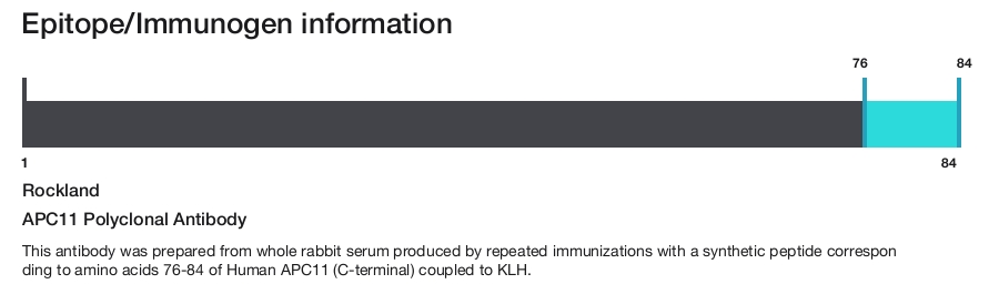APC11 Polyclonal Antibody