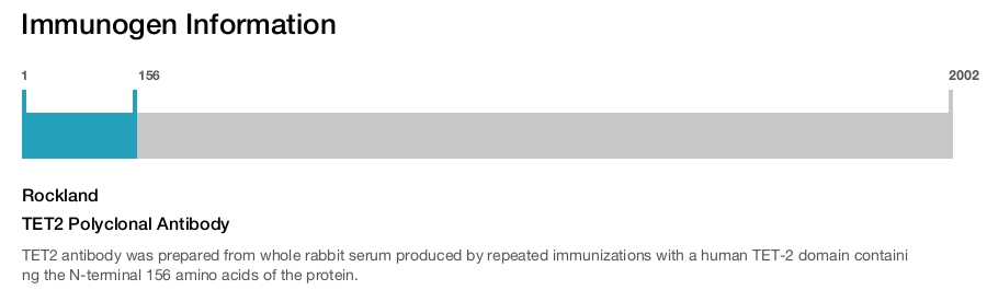 TET2 Polyclonal Antibody