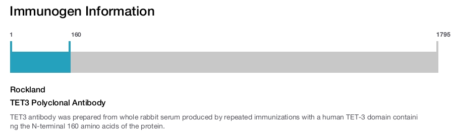 TET3 Polyclonal Antibody