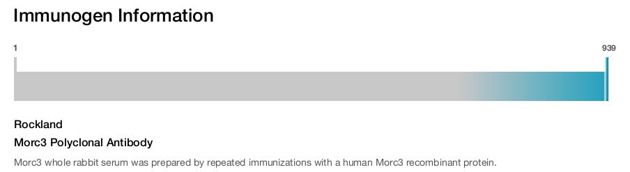 Morc3 Polyclonal Antibody