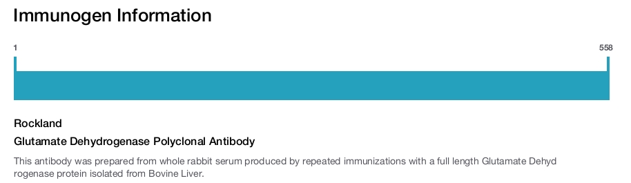 Glutamate Dehydrogenase Polyclonal Antibody