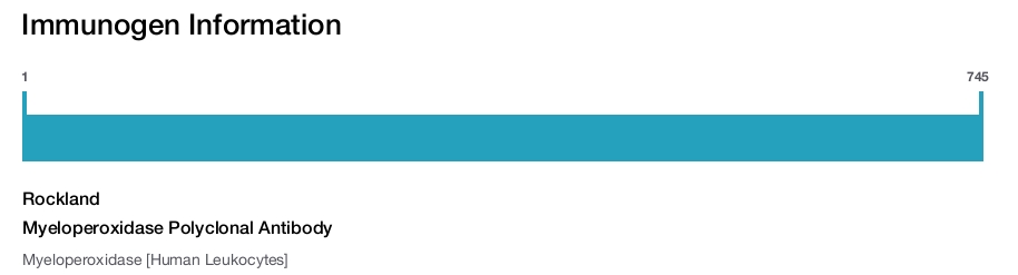 Myeloperoxidase Polyclonal Antibody