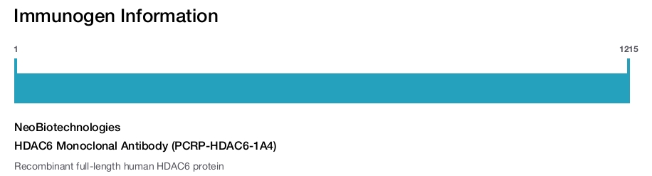 HDAC6 Monoclonal Antibody (PCRP-HDAC6-1A4)