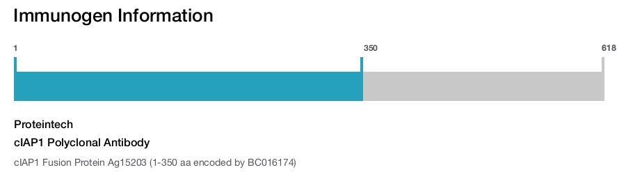 cIAP1 Polyclonal Antibody