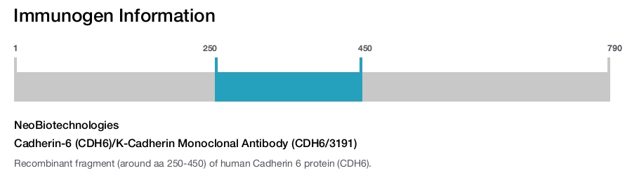 Cadherin-6 (CDH6)/K-Cadherin Monoclonal Antibody (CDH6/3191)