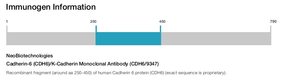 Cadherin-6 (CDH6)/K-Cadherin Monoclonal Antibody (CDH6/9347)