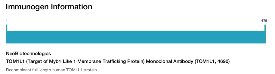 TOM1L1 (Target of Myb1 Like 1 Membrane Trafficking Protein) Monoclonal Antibody (TOM1L1, 4690)