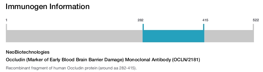 Occludin (Marker of Early Blood Brain Barrier Damage) Monoclonal Antibody (OCLN/2181)
