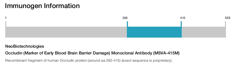 Occludin (Marker of Early Blood Brain Barrier Damage) Monoclonal Antibody (MSVA-415M)