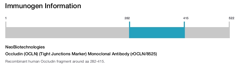 Occludin (OCLN) (Tight Junctions Marker) Monoclonal Antibody (rOCLN/8525)
