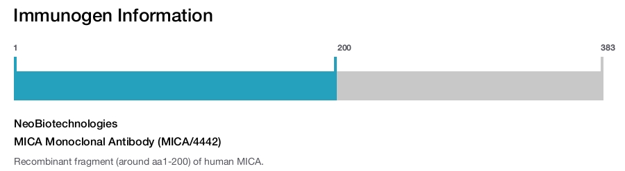 MICA Monoclonal Antibody (MICA/4442)