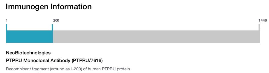 PTPRU Monoclonal Antibody (PTPRU/7616)