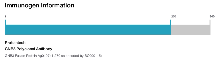 GNB3 Polyclonal Antibody