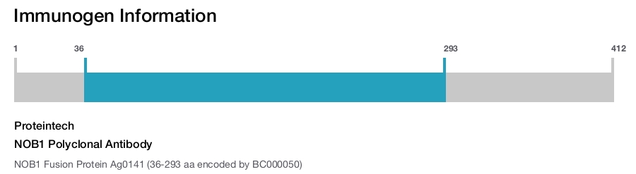 NOB1 Polyclonal Antibody