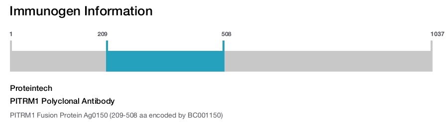 PITRM1 Polyclonal Antibody
