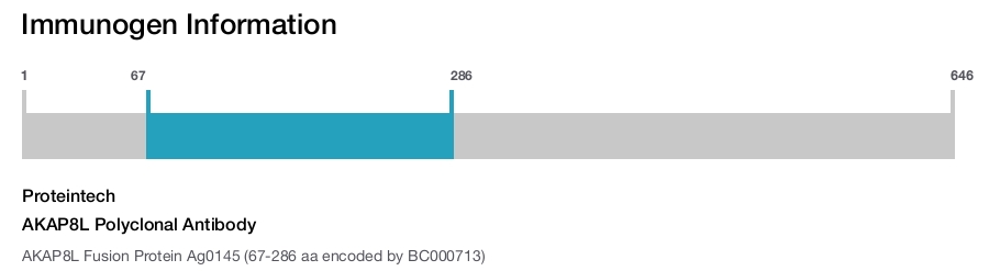 AKAP8L Polyclonal Antibody
