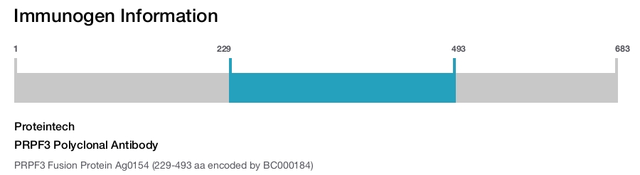 PRPF3 Polyclonal Antibody